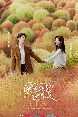 天水seo优化服务